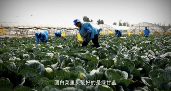速凍食品 速凍食品