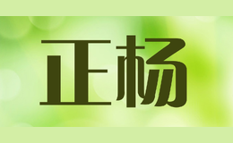 遼寧正楊管業有限公司